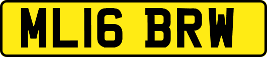 ML16BRW