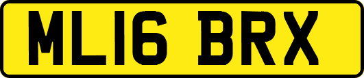 ML16BRX