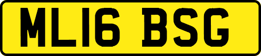 ML16BSG