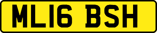 ML16BSH