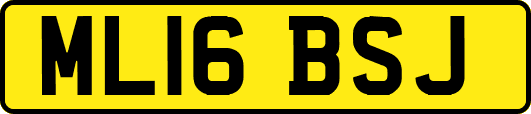 ML16BSJ
