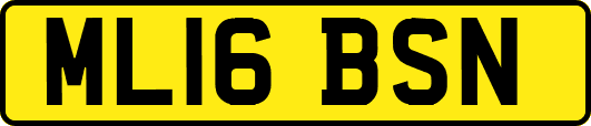 ML16BSN