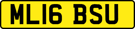 ML16BSU
