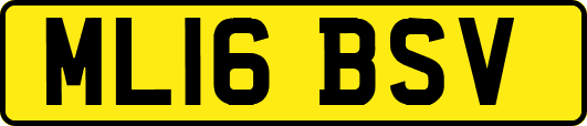 ML16BSV