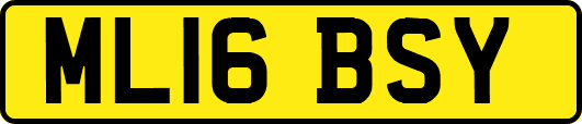 ML16BSY