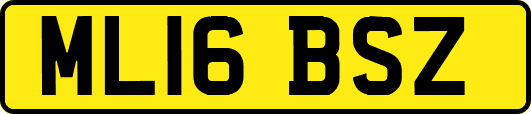 ML16BSZ