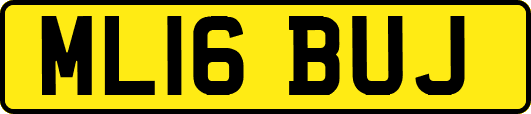 ML16BUJ