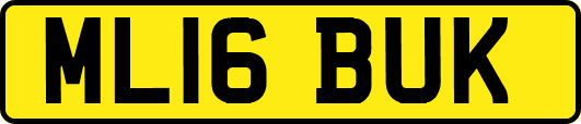 ML16BUK