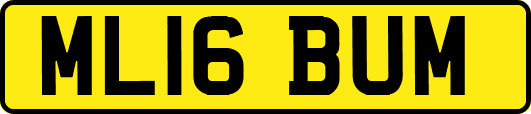 ML16BUM