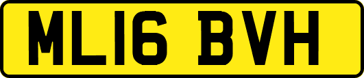 ML16BVH