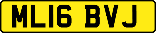 ML16BVJ