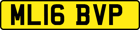 ML16BVP
