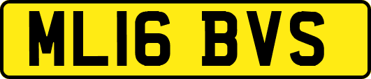 ML16BVS