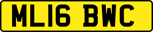 ML16BWC