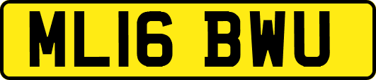 ML16BWU