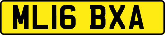 ML16BXA