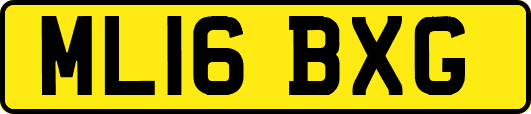 ML16BXG