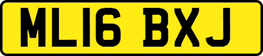 ML16BXJ