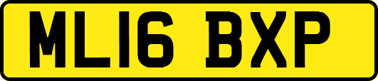ML16BXP