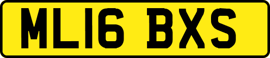 ML16BXS