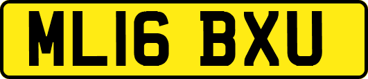 ML16BXU