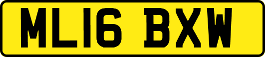 ML16BXW