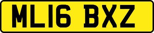 ML16BXZ