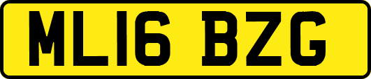 ML16BZG