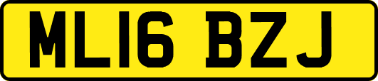 ML16BZJ