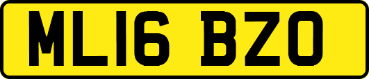ML16BZO