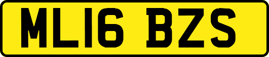 ML16BZS