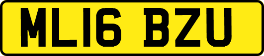 ML16BZU
