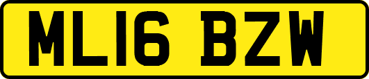 ML16BZW
