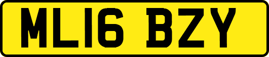 ML16BZY