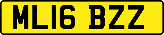 ML16BZZ