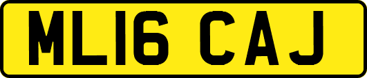 ML16CAJ