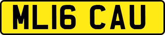 ML16CAU