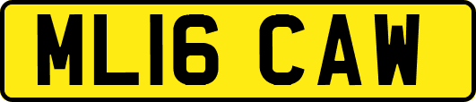 ML16CAW