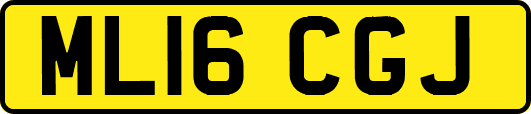 ML16CGJ