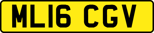 ML16CGV