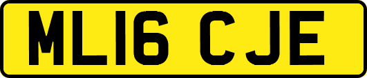 ML16CJE