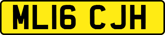 ML16CJH
