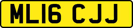 ML16CJJ