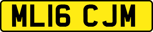 ML16CJM