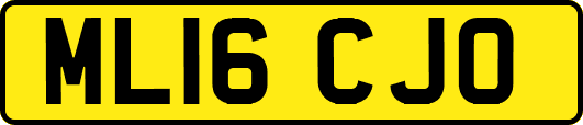 ML16CJO