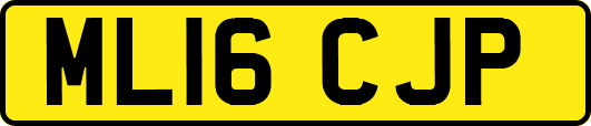 ML16CJP
