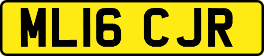 ML16CJR
