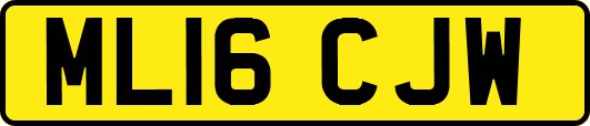 ML16CJW
