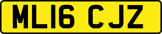 ML16CJZ