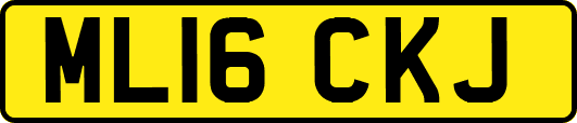ML16CKJ